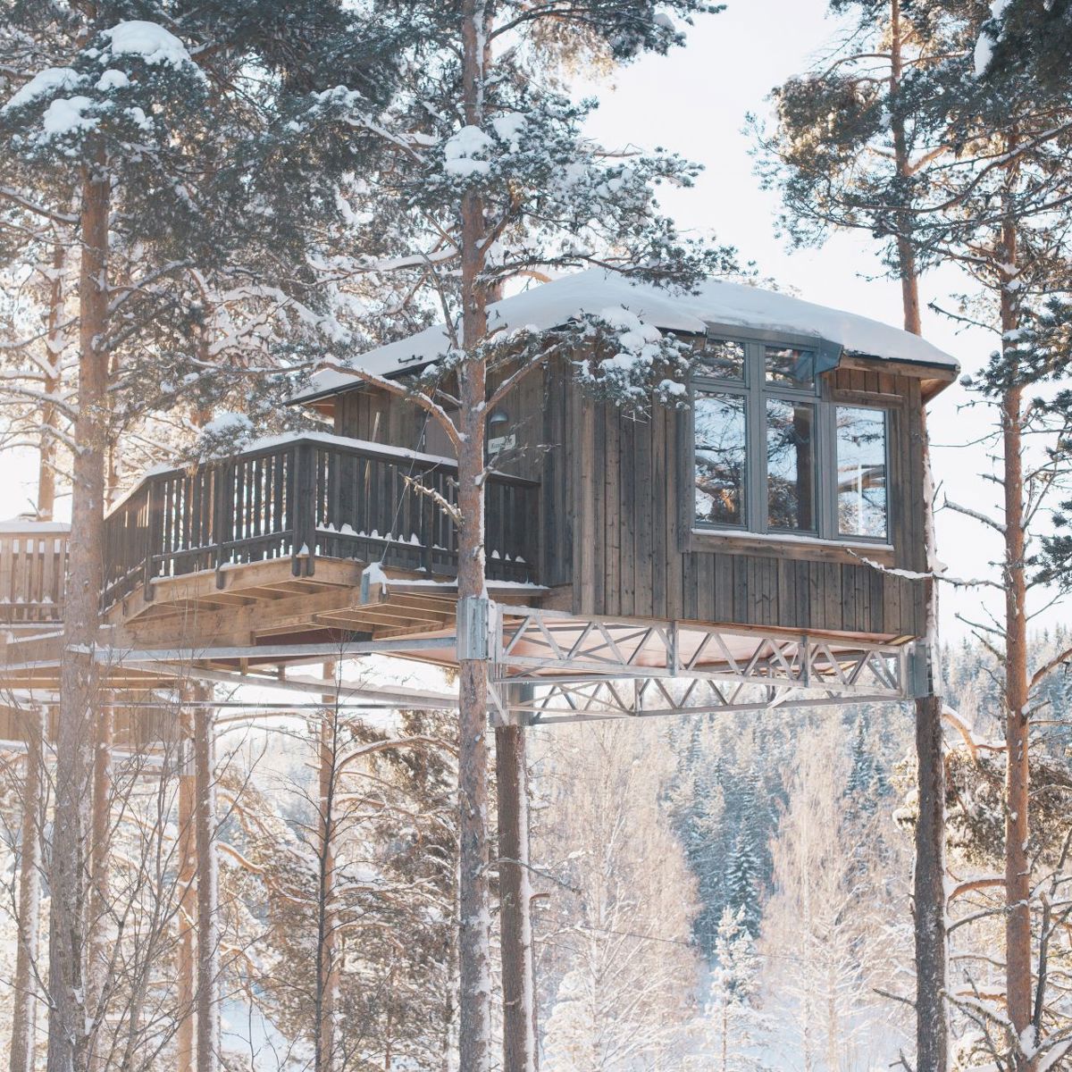 Photo: Granö Beckasin A cabin mounted hight up in some pine trees.