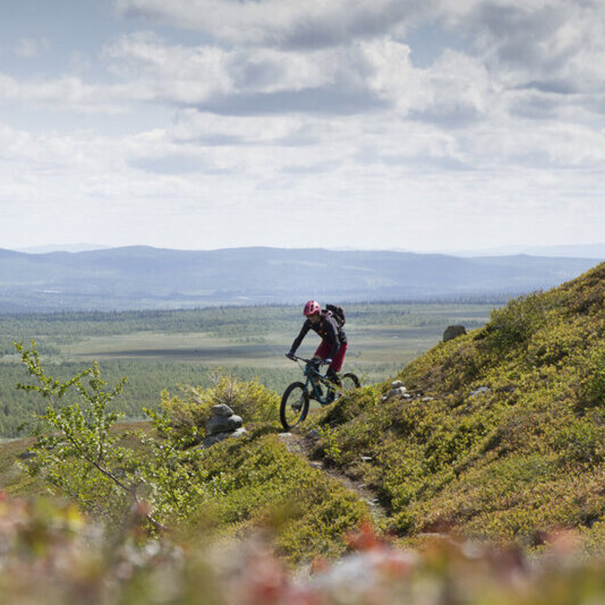 A biker biking on a trail in the mountains on a sunny summer day.