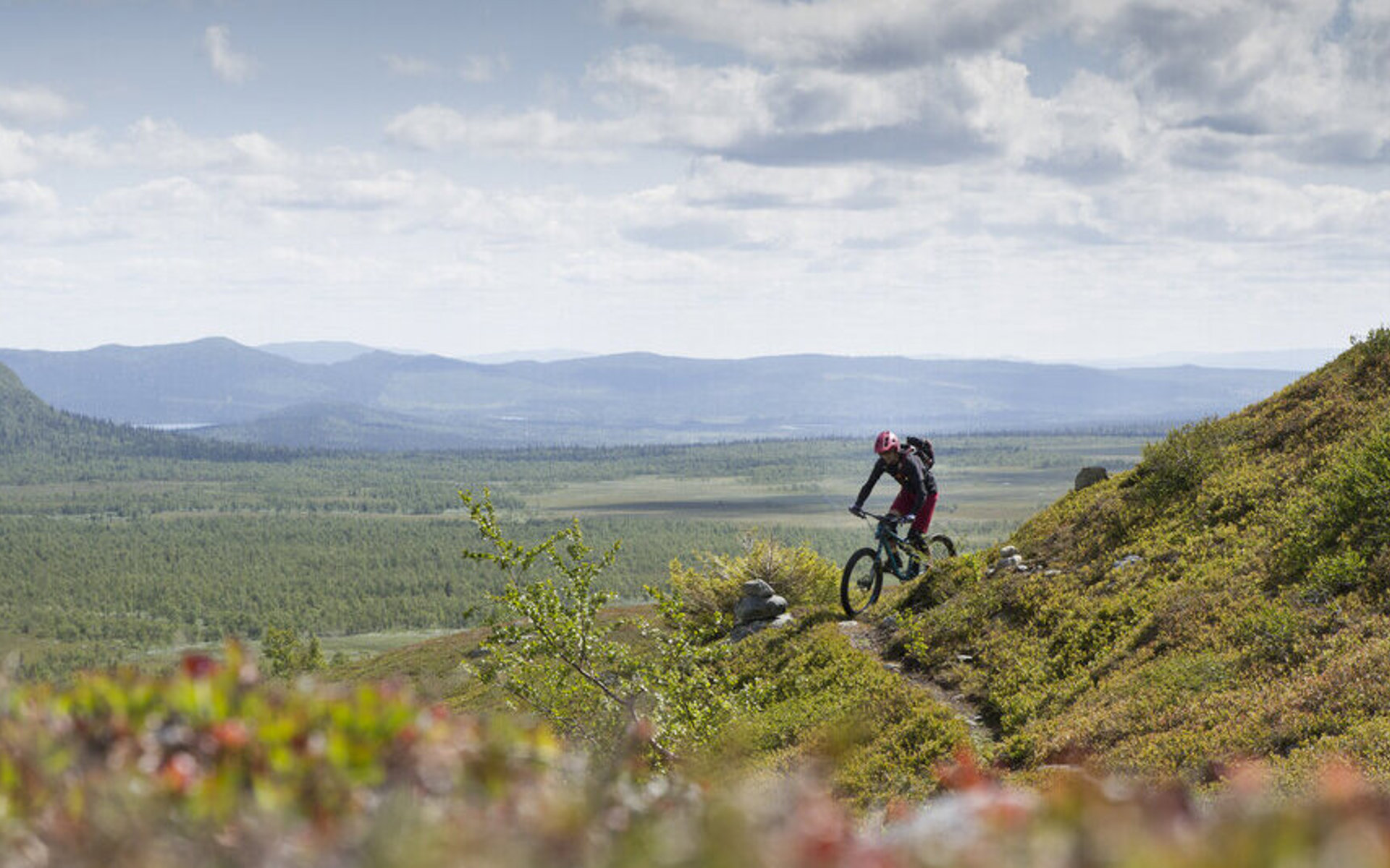 A biker biking on a trail in the mountains on a sunny summer day.
