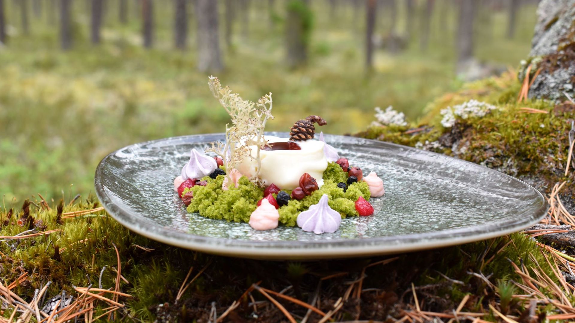 A plate placed in a forest with a dish om it looking like forest. 