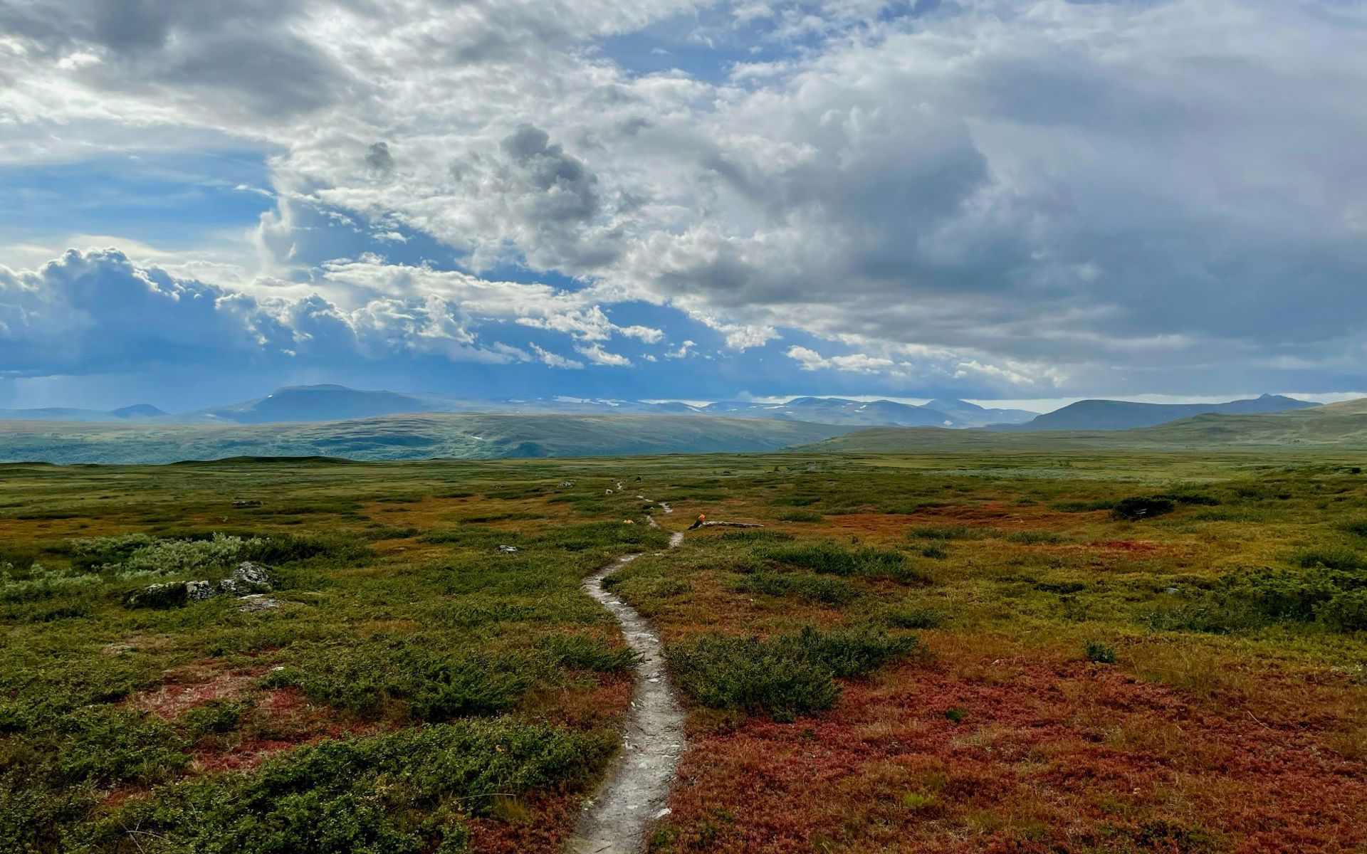 Photo: Anders Noren/Unsplash