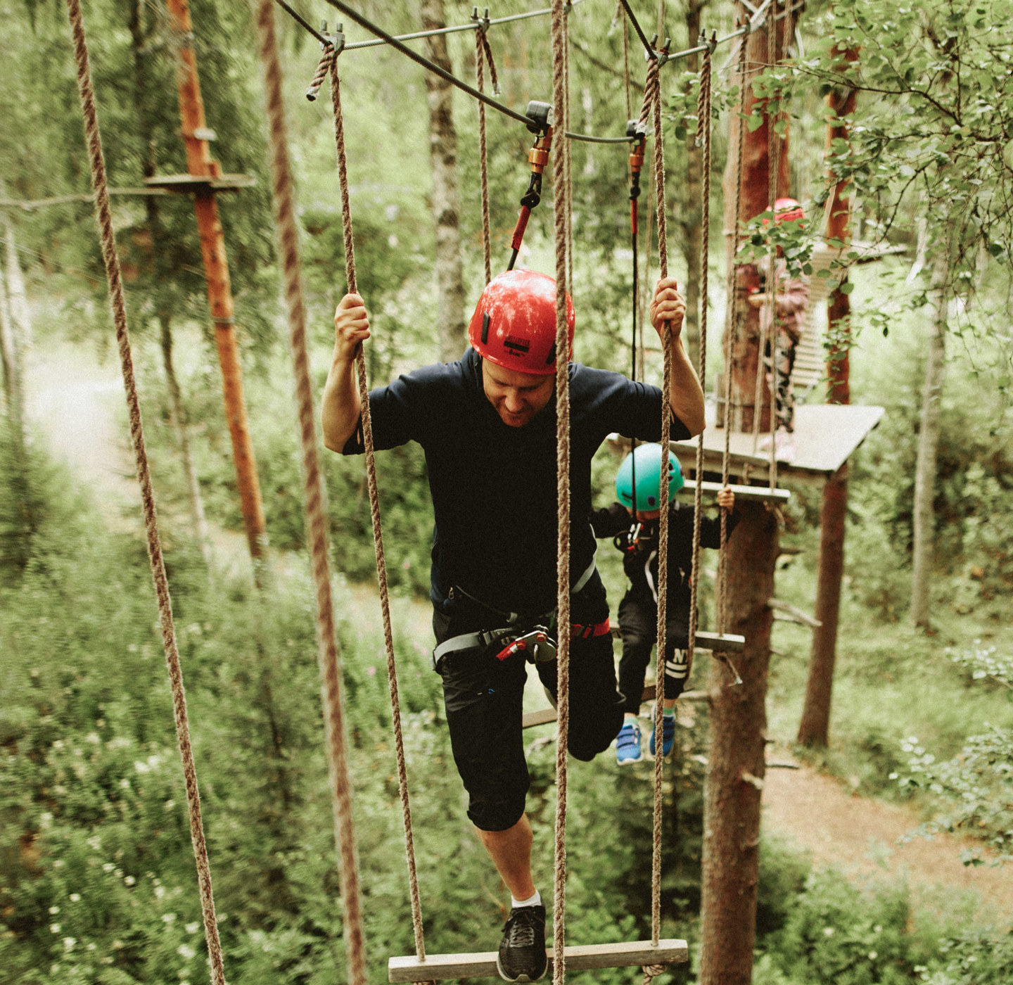 A man and a child climbing an adventure track between tree tops.