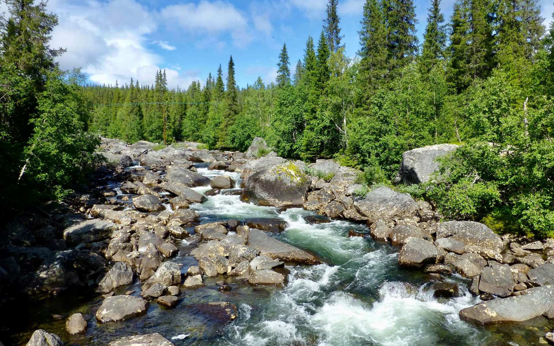 Photo: Thom Reijnders Unsplash